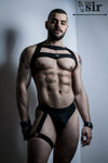 Garter Yes Sir
