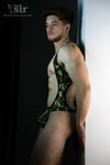 Singlets Colaless