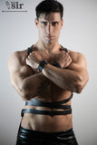 Arnés Crixo