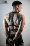 Arnés Crixo