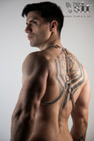 Arnés Caraxes